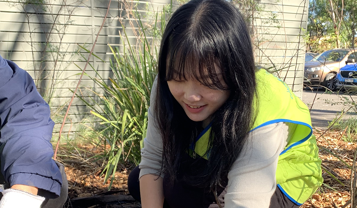 volunteer